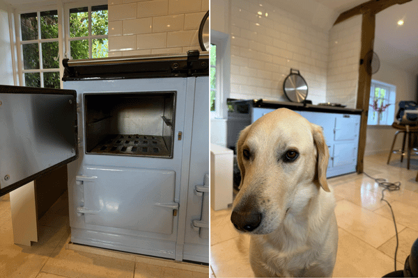 AGA Enamelling and a Dog